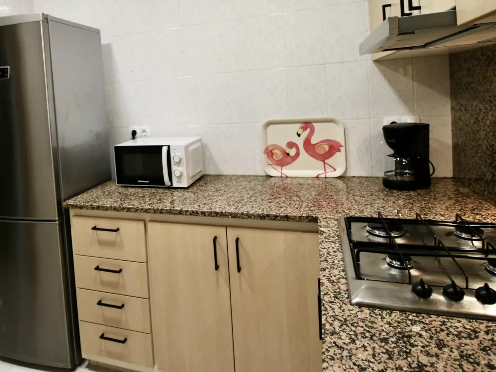 Location de Vacances Roses 398