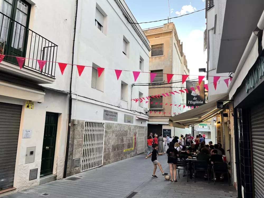 Location de Vacances Roses 398