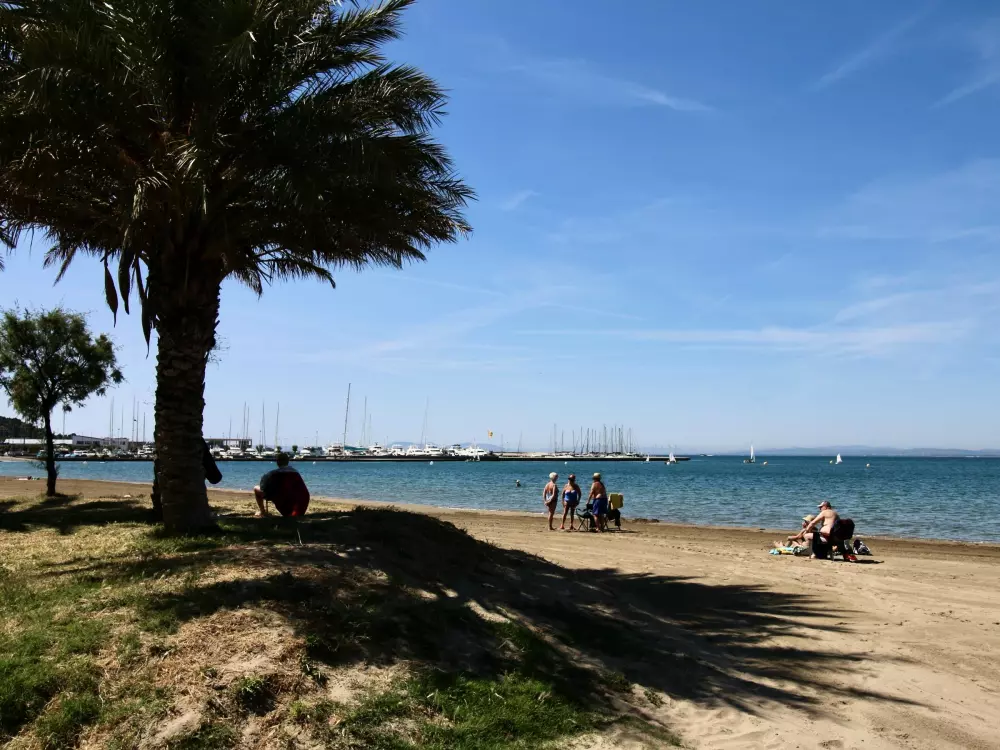 Location de Vacances Roses 398