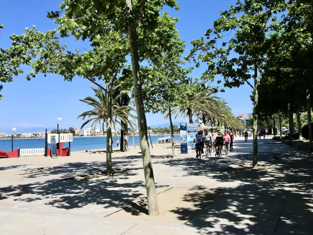 Location de Vacances Roses 398