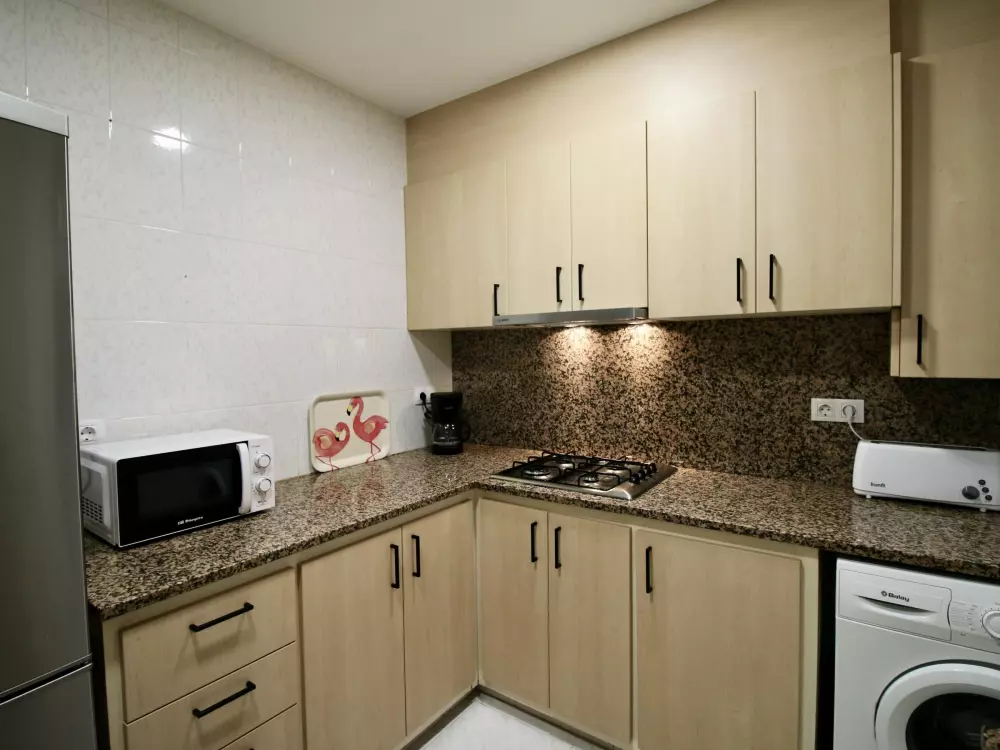 Location de Vacances Roses 398