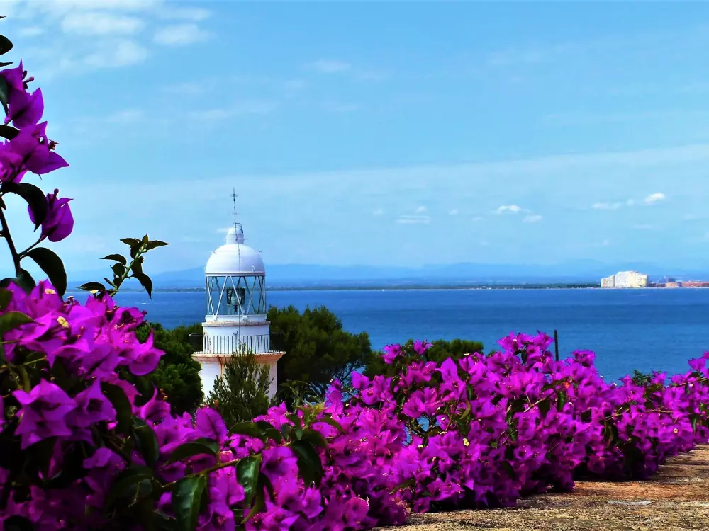 Location de Vacances Roses 400