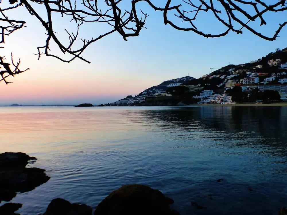 Location de Vacances Roses 400