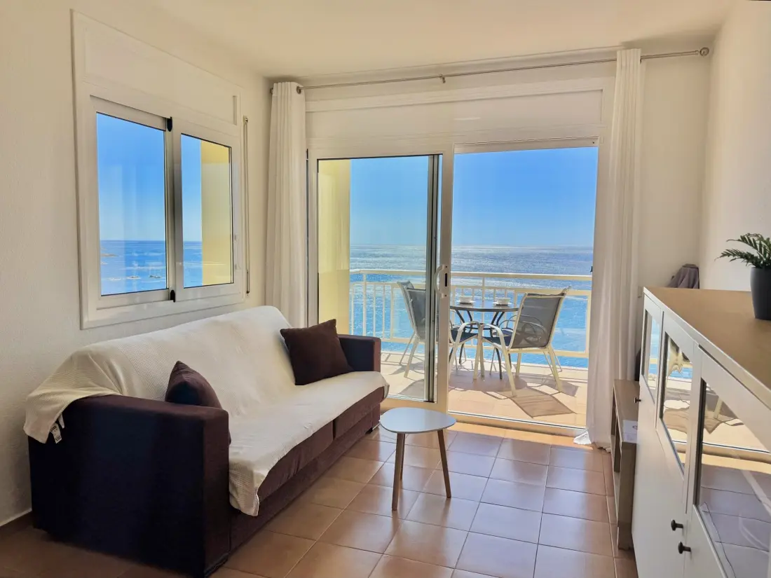 Location de Vacances Roses 400