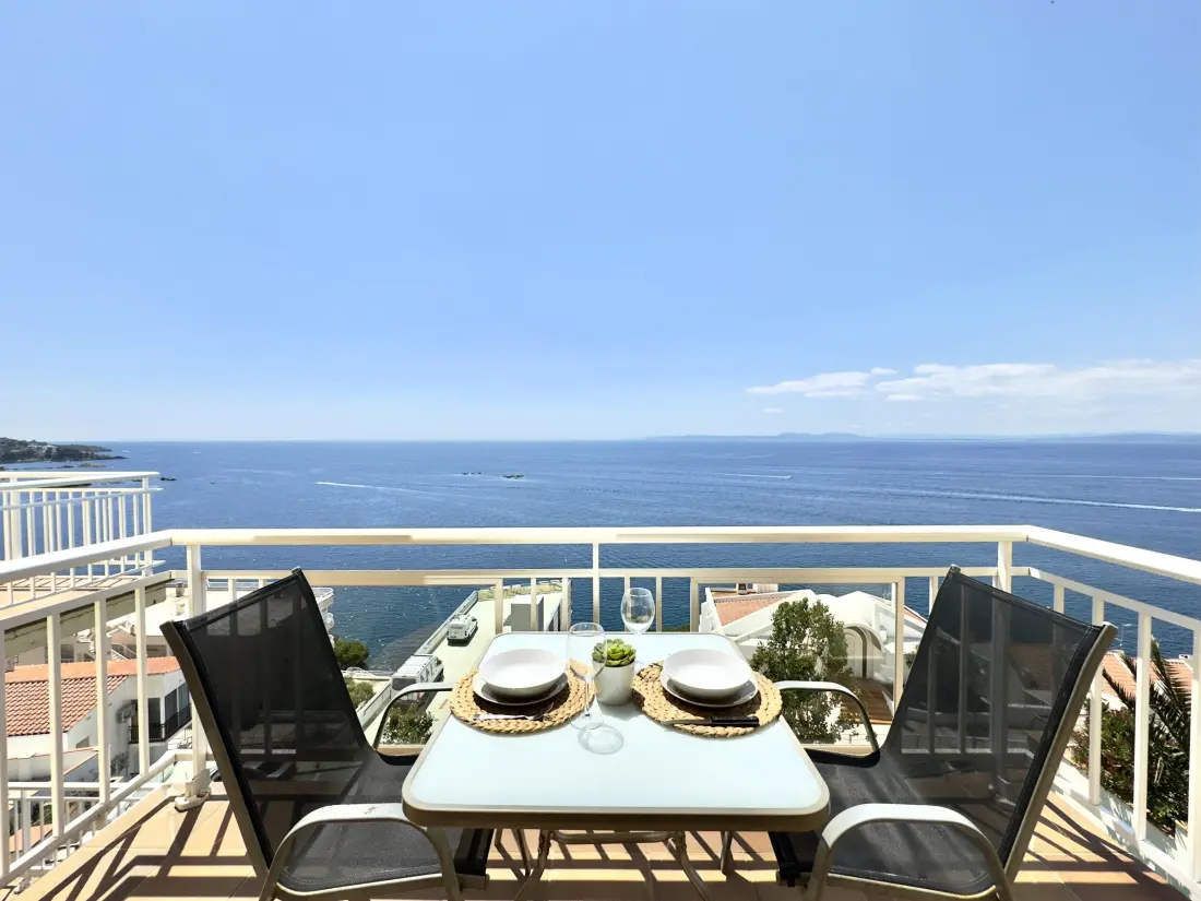 Location de Vacances Roses 401