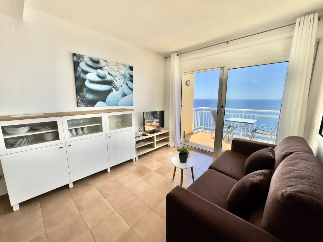 Location de Vacances Roses 401