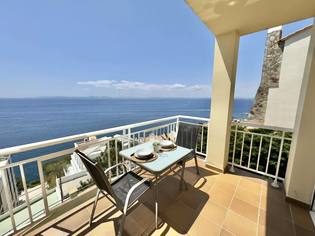 Location de Vacances Roses 401
