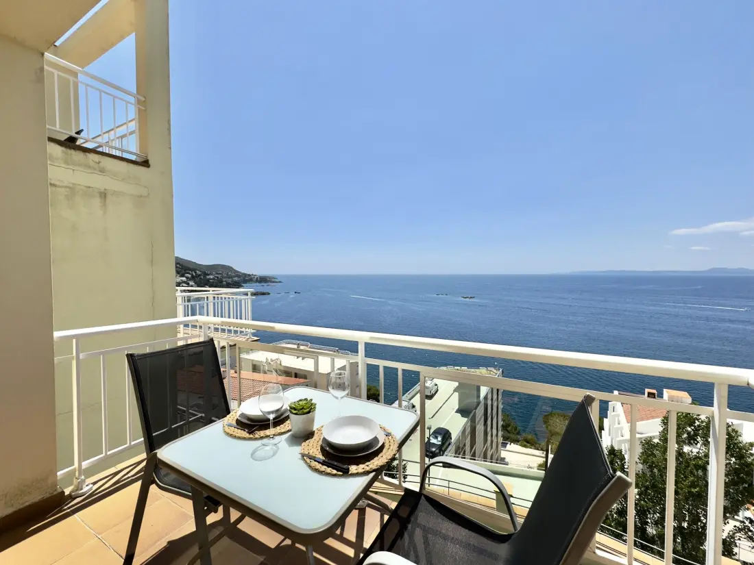 Location de Vacances Roses 401
