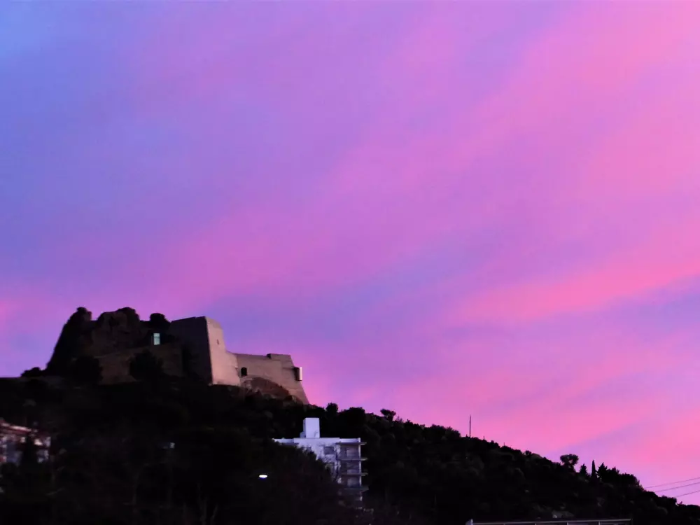 Location de Vacances Roses 404