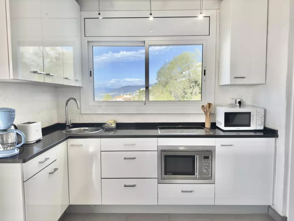 Location de Vacances Roses 406