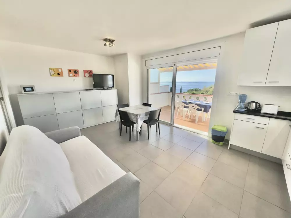 Location de Vacances Roses 406