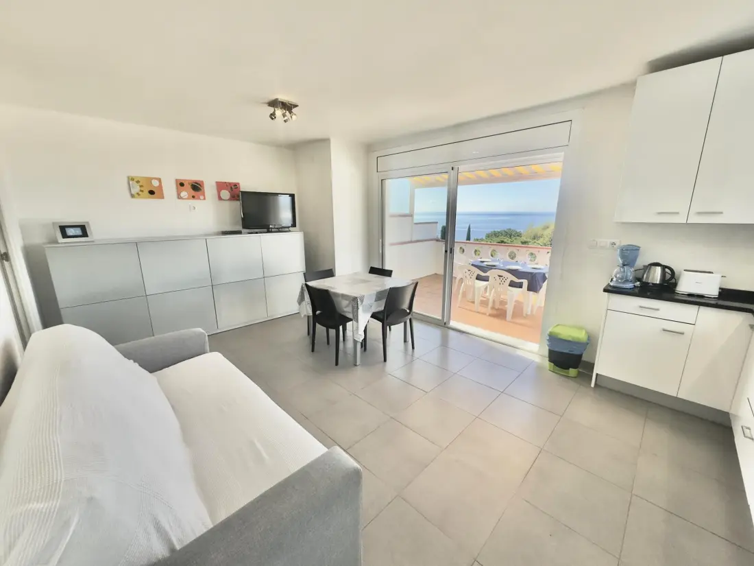 Location de Vacances Roses 406