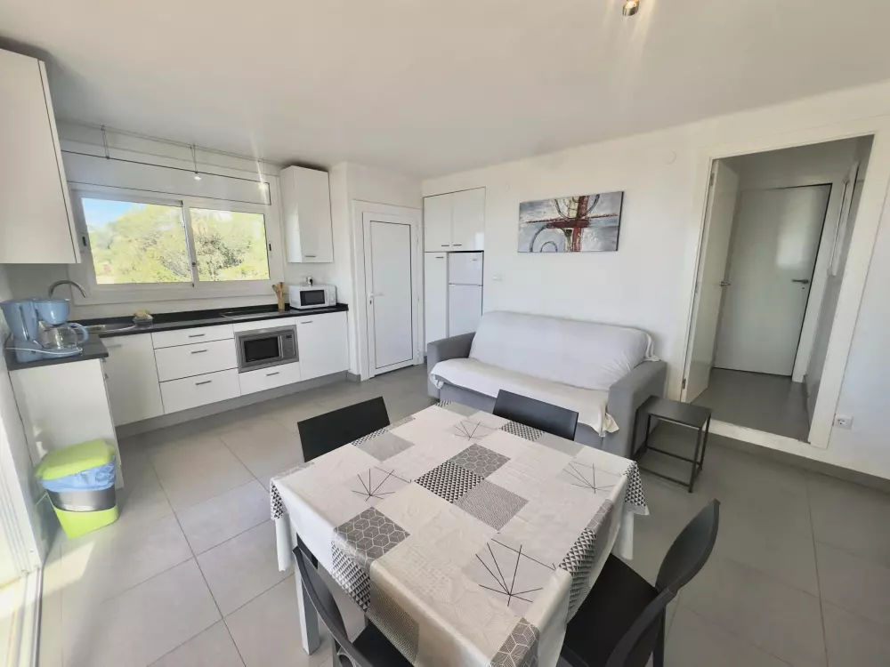 Location de Vacances Roses 406