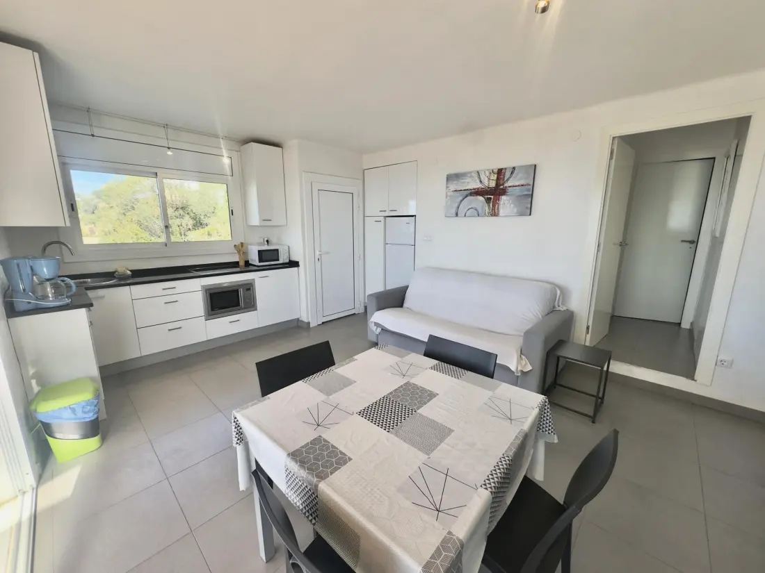 Location de Vacances Roses 406
