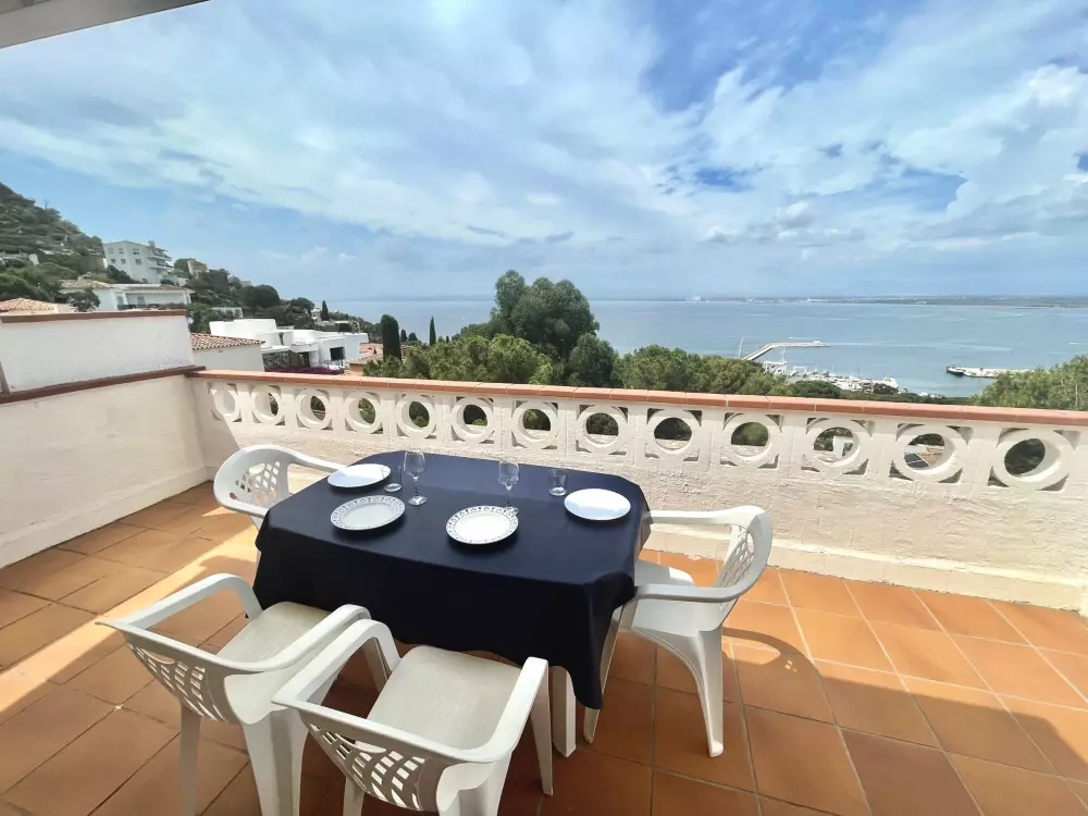 Location de Vacances Roses 406