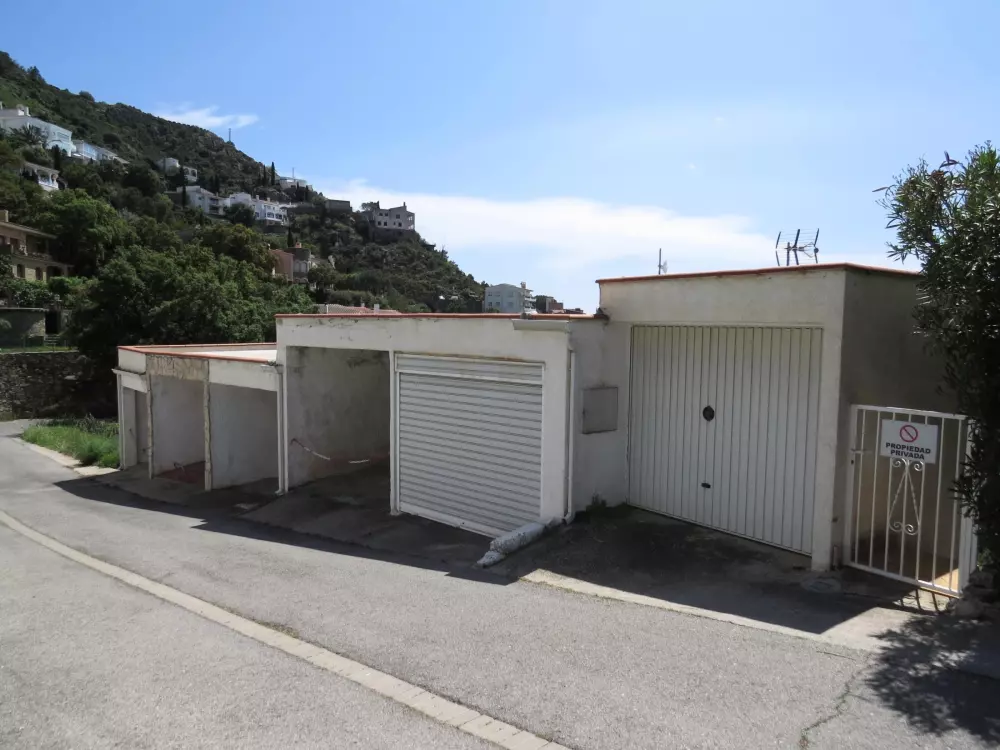 Location de Vacances Roses 406