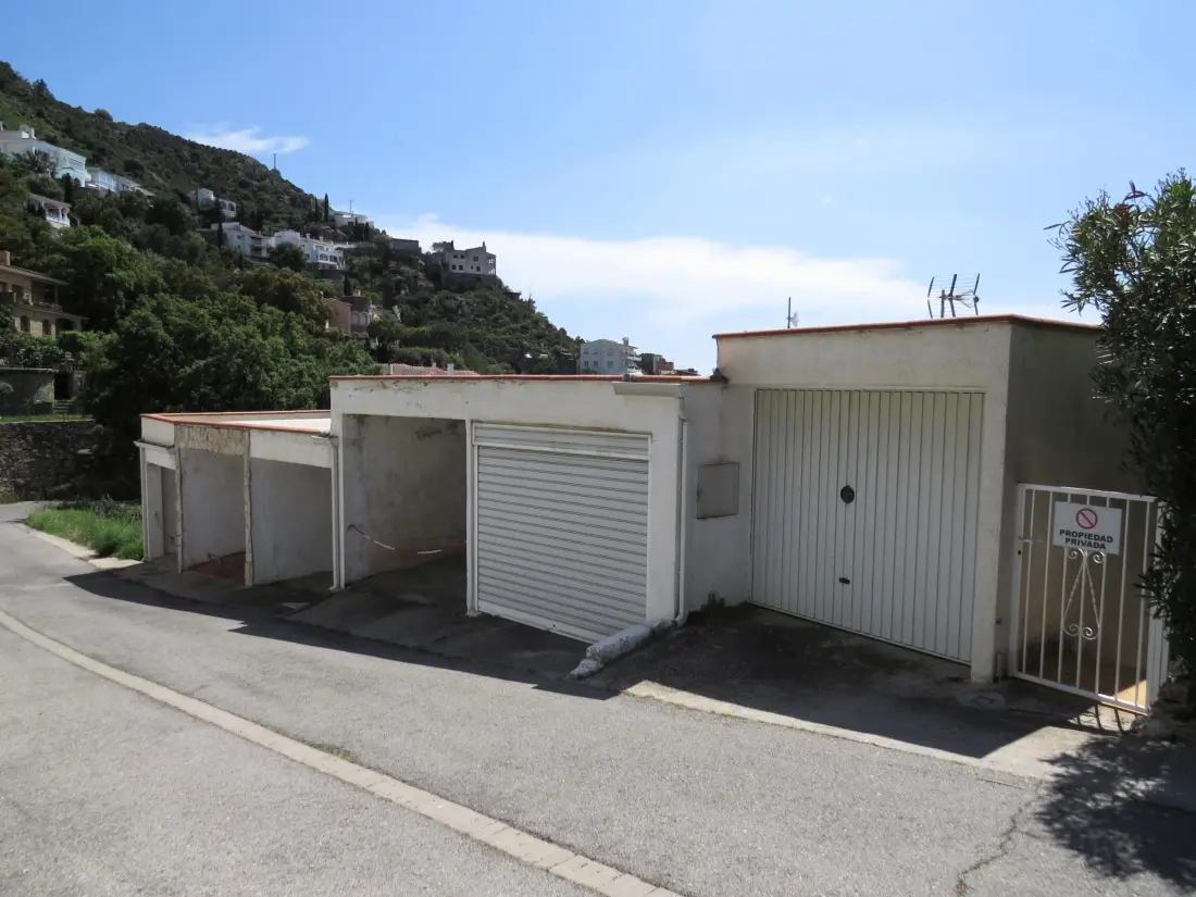 Location de Vacances Roses 406