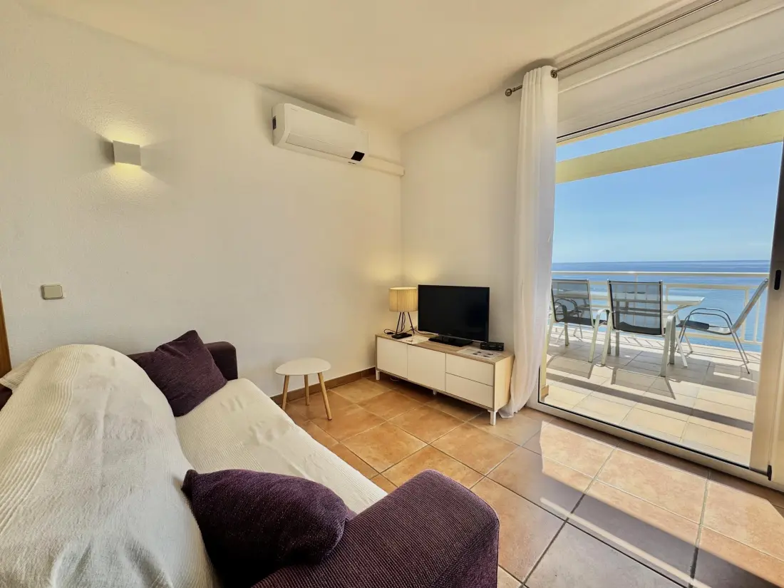 Location de Vacances Roses 413