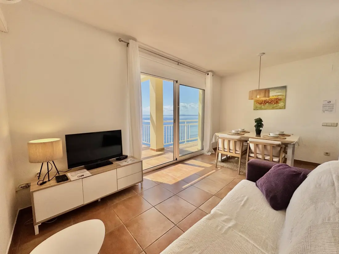 Location de Vacances Roses 413
