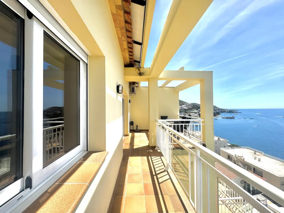 Location de Vacances Roses 413
