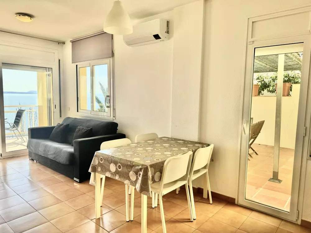 Location de Vacances Roses 415