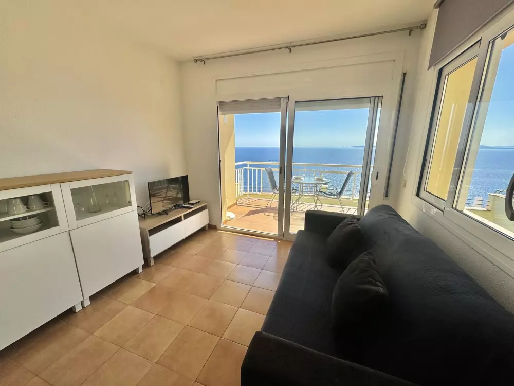 Location de Vacances Roses 415