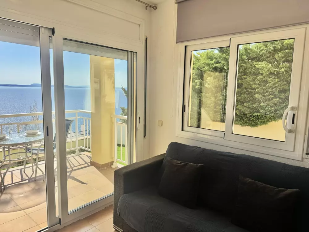 Location de Vacances Roses 415