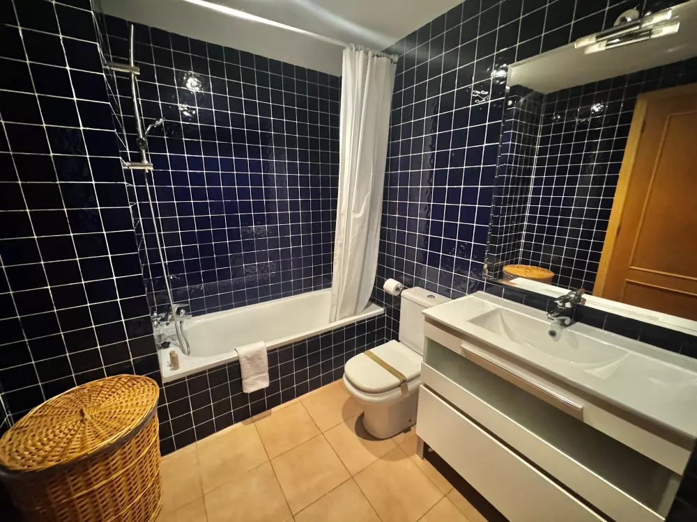 Location de Vacances Roses 415