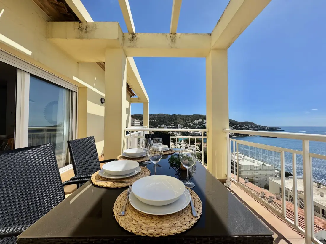 Location de Vacances Roses 416