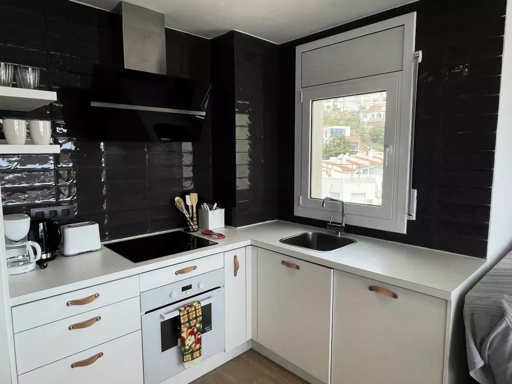 Location de Vacances Roses 417