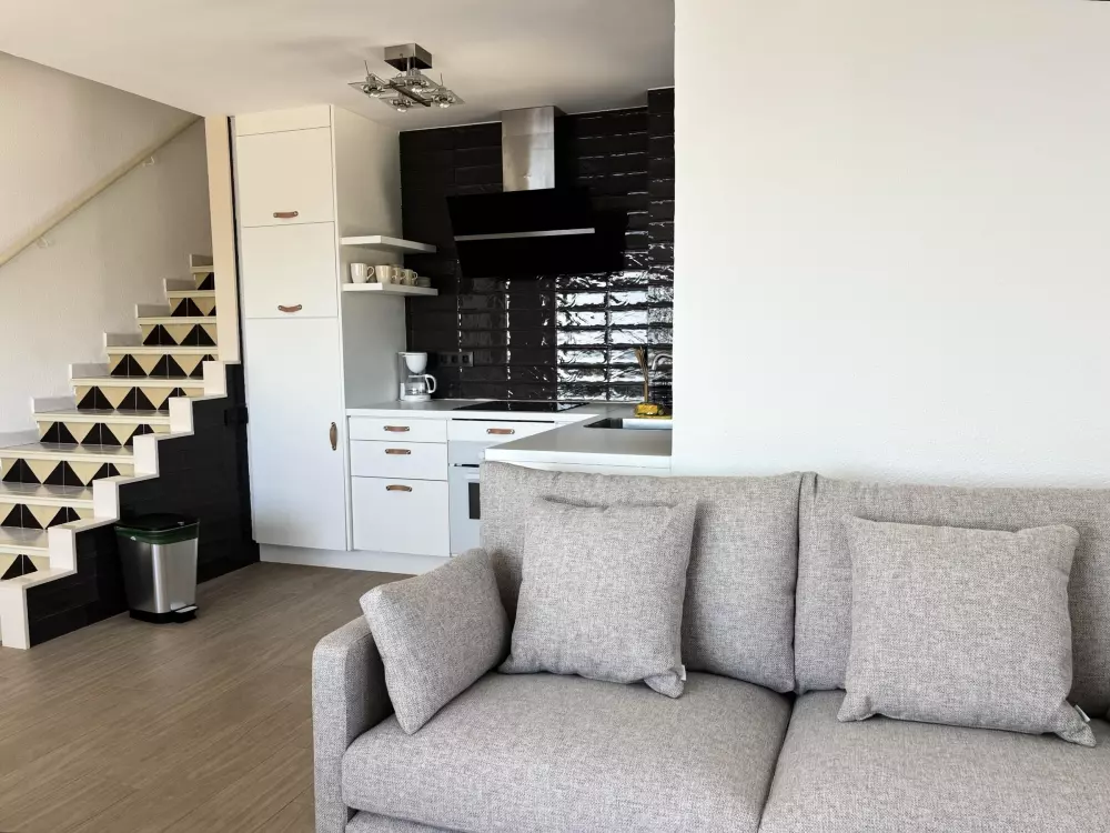 Location de Vacances Roses 417