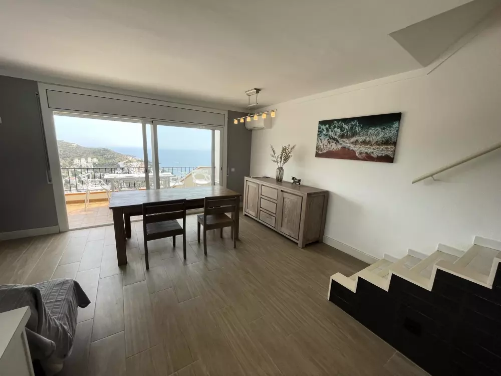 Location de Vacances Roses 417