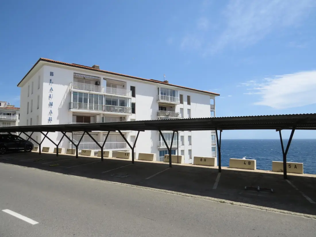 Location de Vacances Roses 418