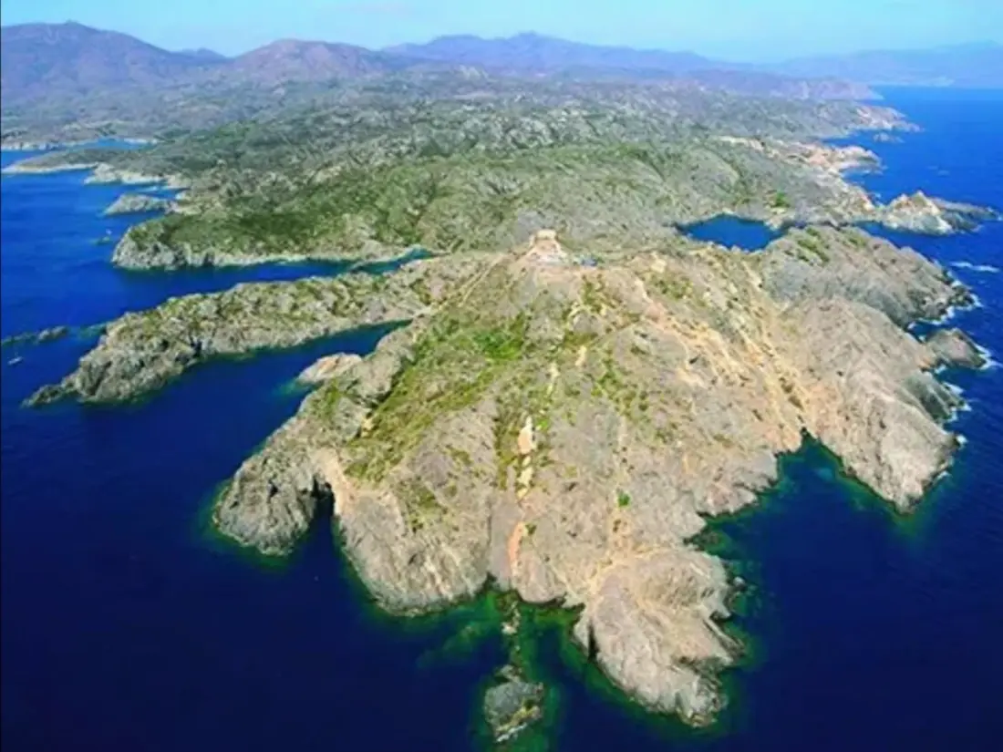 Location de Vacances Roses 423