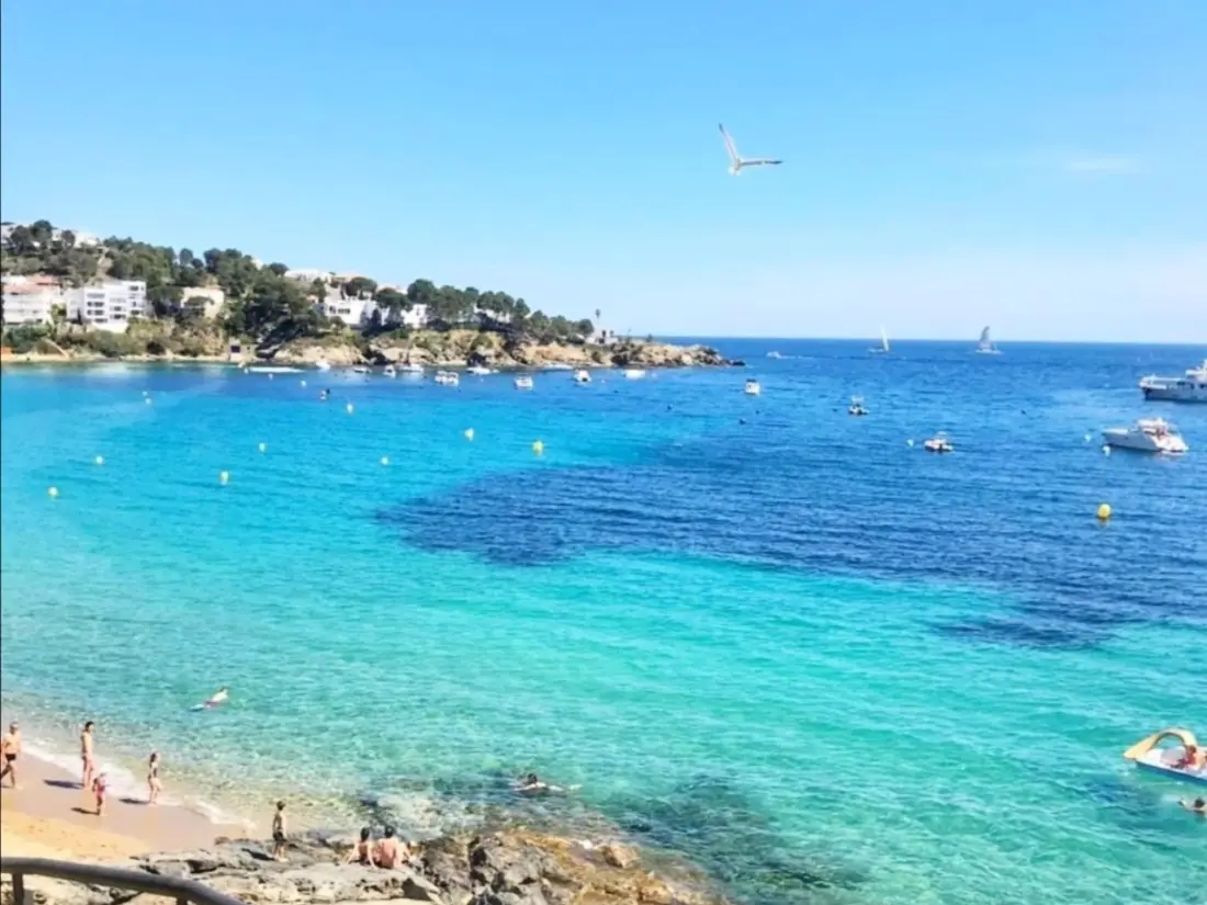 Location de Vacances Roses 423