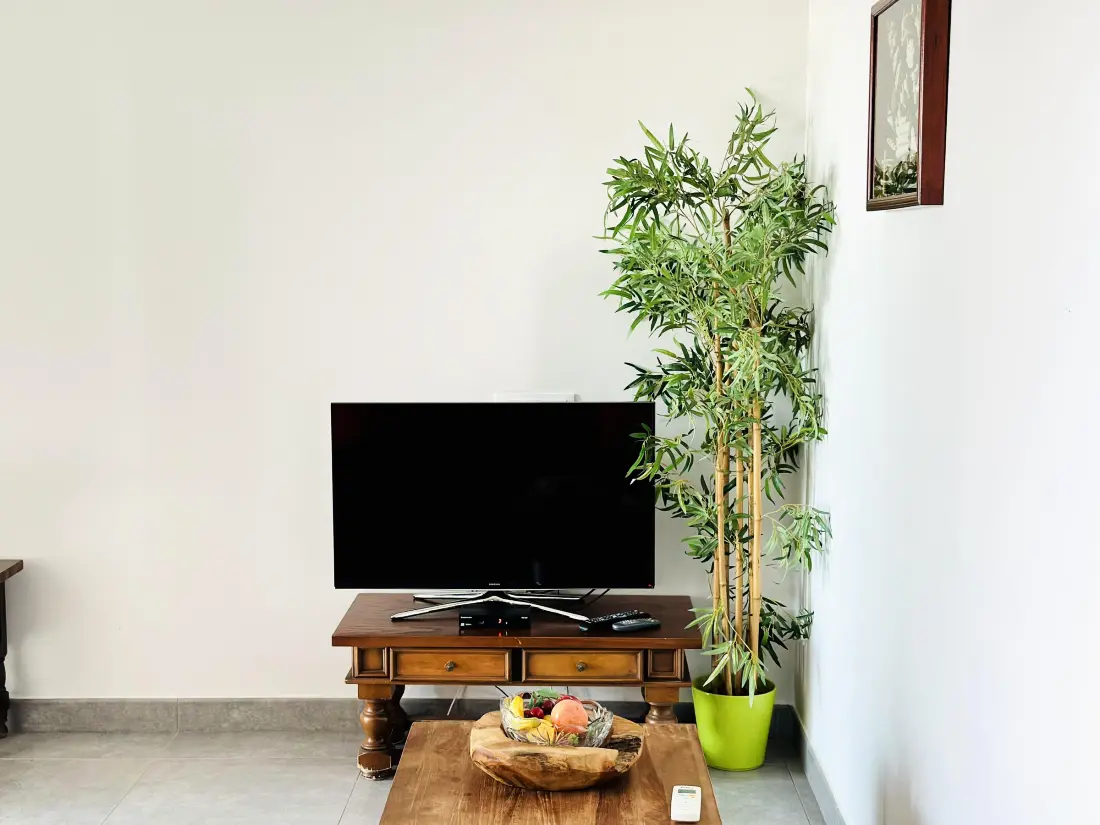 Location de Vacances Roses 423