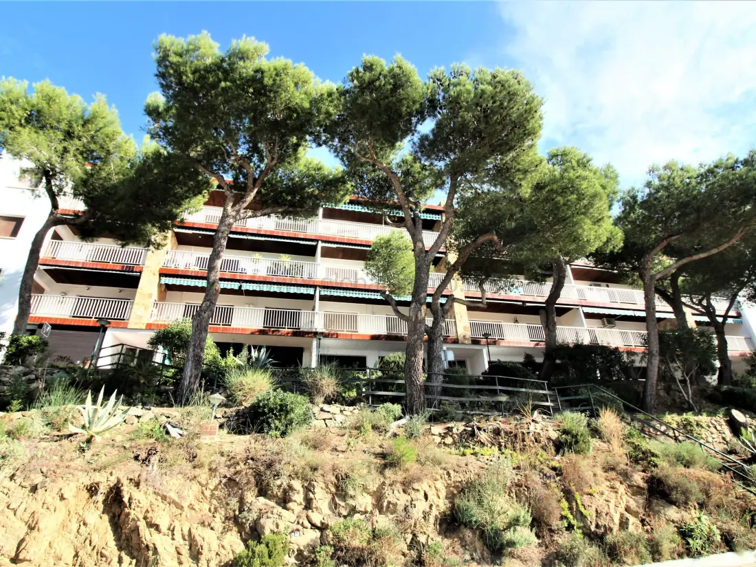 Location de Vacances Roses 423