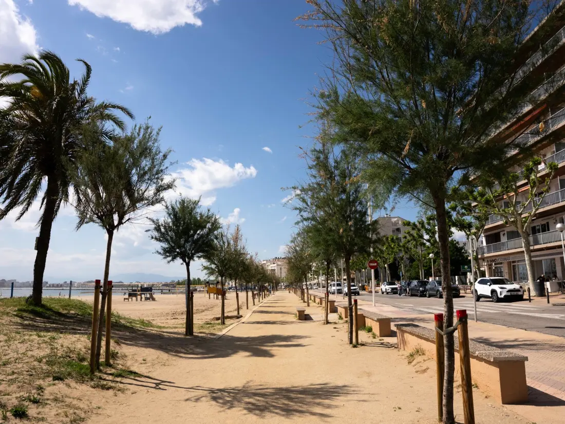 Location de Vacances Roses 425