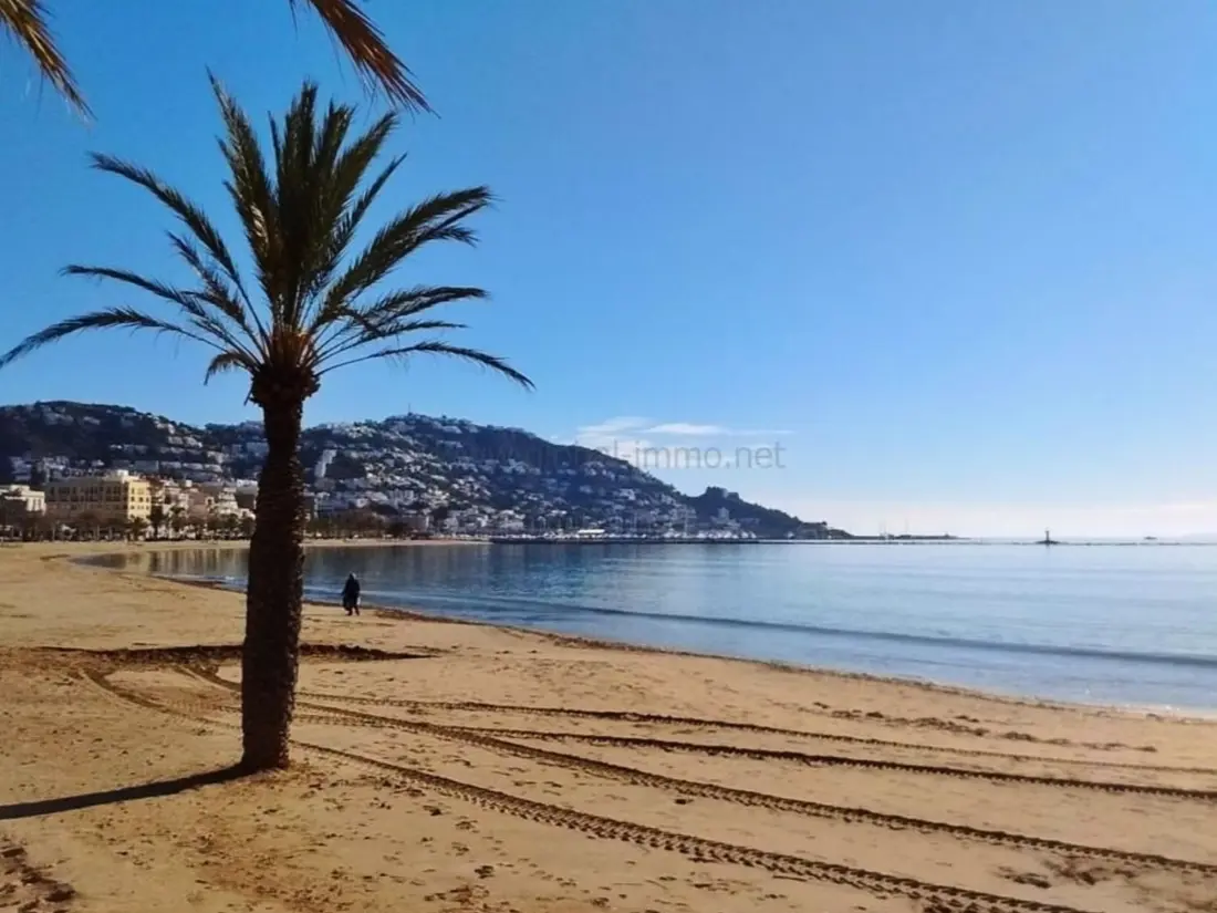 Location de Vacances Roses 426