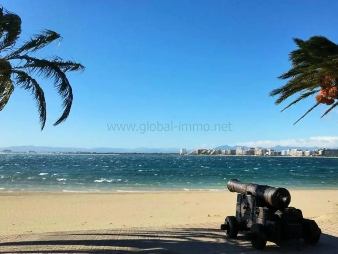 Location de Vacances Roses 426