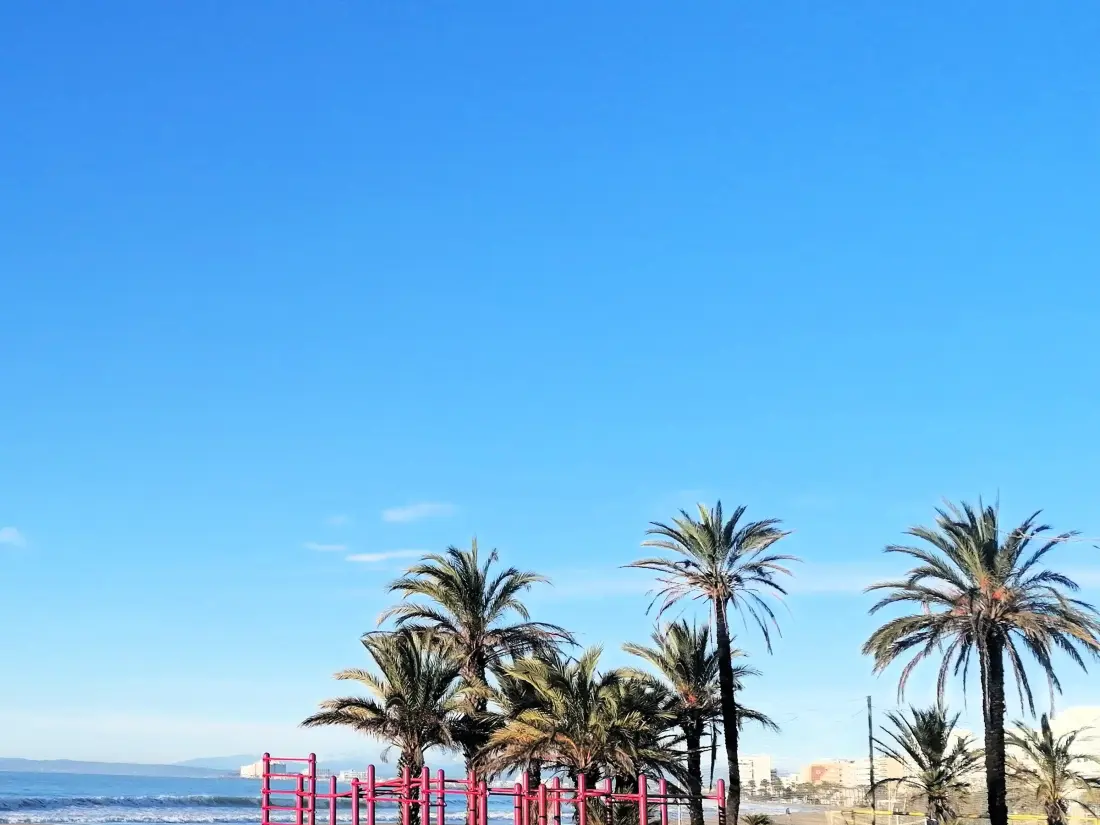 Location de Vacances Roses 426