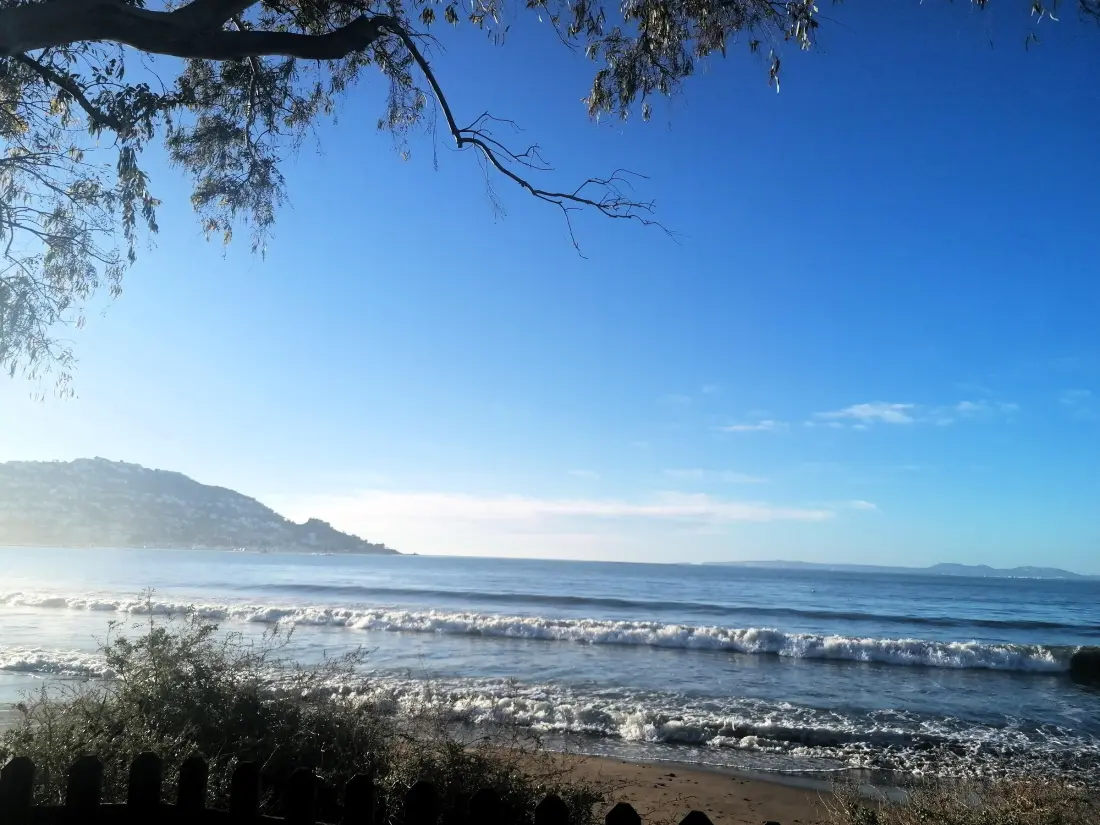 Location de Vacances Roses 426