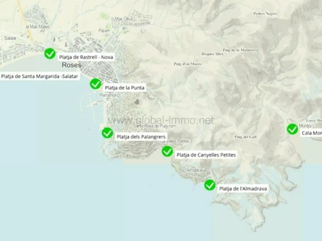 Location de Vacances Roses 426