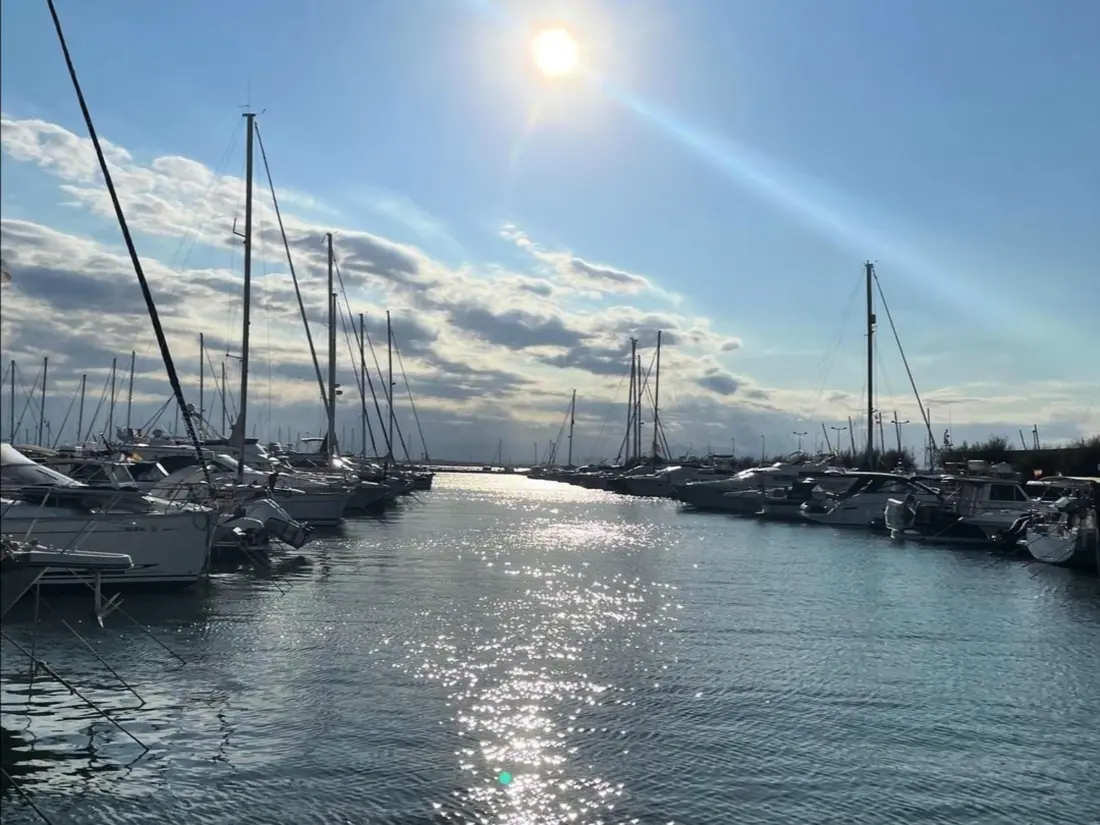 Location de Vacances Roses 426