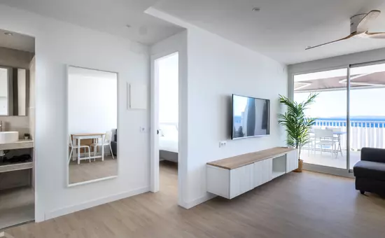 Location de Vacances Roses 466