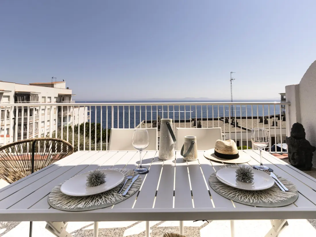 Location de Vacances Roses 466