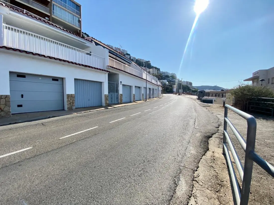 Location de Vacances Roses 466