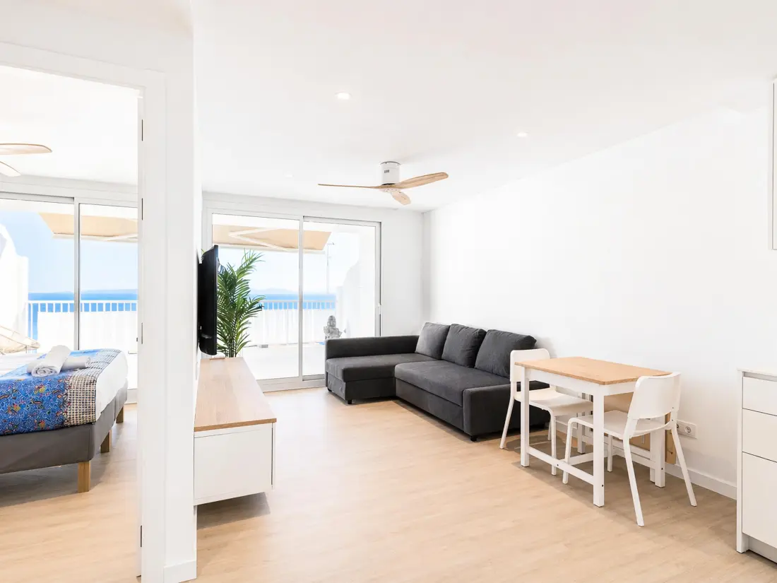 Location de Vacances Roses 466