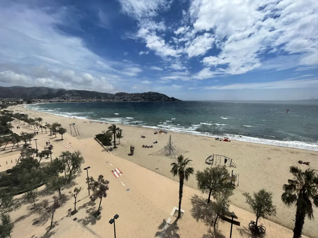 Location de Vacances Roses 470