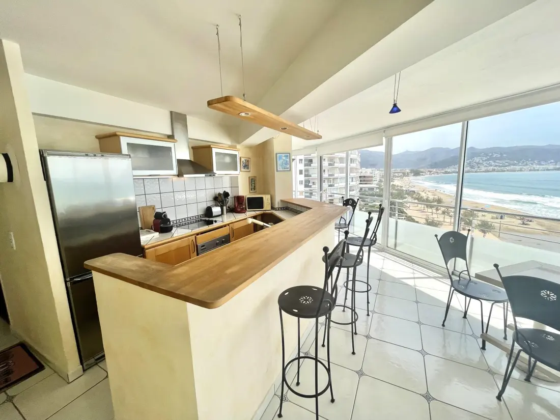 Location de Vacances Roses 470